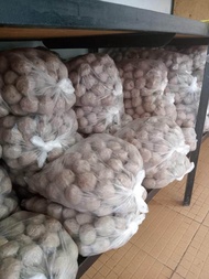 Basreng mentah 1 ball isi 5kilo