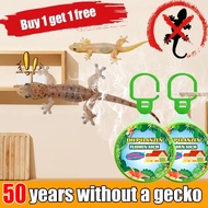 【Buy 1 Free 1 ！！！】Lizard repellent Plant extraction Gecko repellent Gecko killer Gecko trap Lizard t