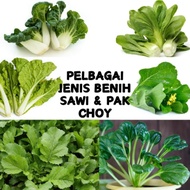 HSK PELBAGAI JENIS BIJI BENIH SAYUR SAWI PAKCHOY ENSABI CAIXIN SEED