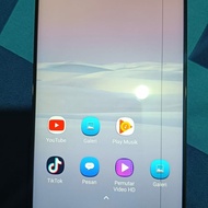 LCD Xiaomi Redmi Note 8 Pro MINUS garis 1 fisik ok