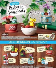 比卡超 盲盒 盆景 公仔 擺設 擺件 裝飾 寵物小精靈 Pokemon pikachu 畢業 禮物 情人節 送禮 生日 情侶 週年紀念 慶祝 比卡超公仔 胖丁 波波球 小火龍 噴火龍 傻鴨 psydu