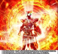 全新啡盒未開  SHF 真骨雕 幪面超人 OOO  TAJADOL  COMBO  ETERNITY  永恆鳥 假面騎士 Kamen Ride