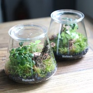 體驗活動 微景│生態瓶 - 花點時間門市平板DIY課程