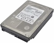 4 TB 7200 RPM SATA Hard Disk Drive, 128 MB Cache, for ACTi ENR-0x0P, ENR-22x, ENR-22xP NVRs