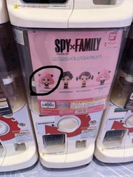 SPY x FAMILY 扭蛋 公仔