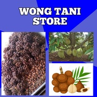 SALAK PONDOH SUPER | MURAH | MANIS | ASLI BANJARNEGARA