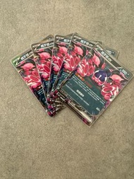 PTCG 寵物小精靈 寶可夢卡 中文版 全新 [SV6AF] 黑夜漫遊者 桃歹郎ex RR