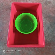 BEKAS BREEND IKAN GUPPY/1SET(READY STOCK)