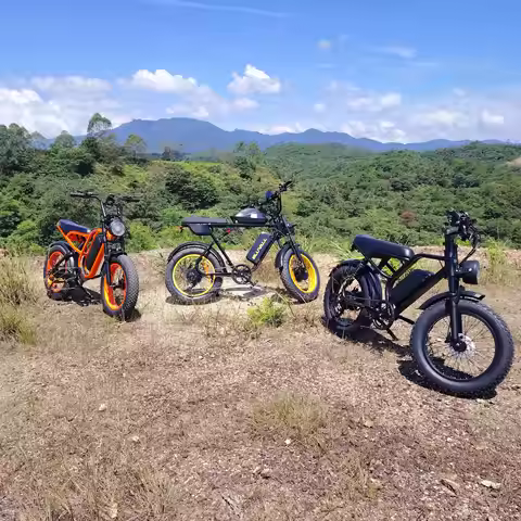 E-bike 2000W motor 52V 46AH battery mountain electric bike 20-inch tire shock absorption all-terrain