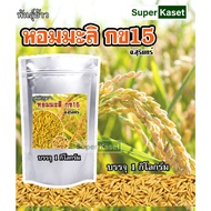 Thailand's high-quality seeds, abundant seeds, rice planting, jasmine rice, 50 seeds