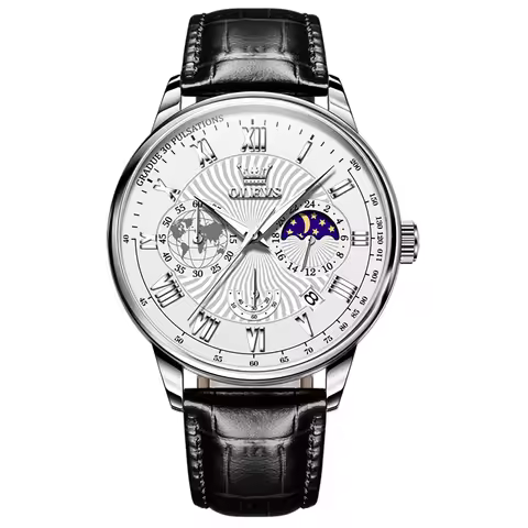 OLEVS 2893 Men's Watches Casual Multifunctional Chronograph Wristwatch Original Brand Quartz Model C