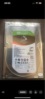 Seagate IronWolf Pro 4TB NAS 專用硬碟（型號：ST4000NE001）