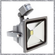 P3(TFAW) Warm White LED Spotlight floodlight Spotlight floodlight with LED lighting and PIR motion s