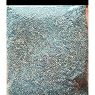 KAMBU HIJAU REPACKING