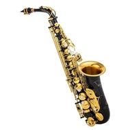 ELRW 82Z Black Gold Alto Saxophone in E-flat Alto saxophone