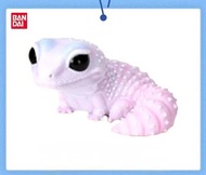 萬代生物大圖鑒扭蛋肥尾豹紋守宮 款式3