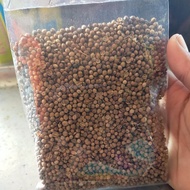 100gram Seeds (1 Pek)