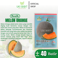 Kemasan Original | Benih Biji Melon Orange | Cantaloupe | Rock Melon