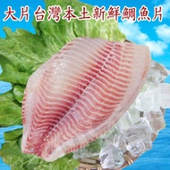 【賣魚的家】大片台灣本土新鮮鯛魚片(200-250g/片)-5包組