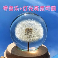 Dandelion's Promise Crystal Ball Music Box Preserved Flower Specimen Night Light Birthday Gift Jay Chou