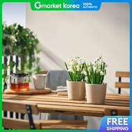 IKEA | Fejka Artificial Plant Snowdrop White Height 24cm