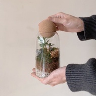苔蘚微景觀玻璃罐