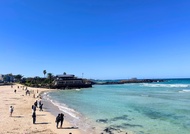 9-Hours Private Jeju (+Free e-SIM)