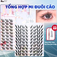 [10 Row Glueless Fox Tail Set] Charming Fox Tail, Dat Ky Tail, Crush Mi, YanYou Mi, Fox Eyelashes, S