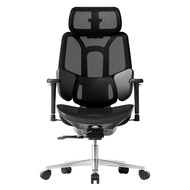 Hbada E3 Air Ergonomic Office Chair - with 3-Zone Dynamic Lumbar Support 3D Adjustable Headrest & 3D