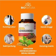 ASHWAGANDHA+KSM-66 BIONATURA SOFT GEL MERAWAT PENYAKIT 3 SERANGKAI