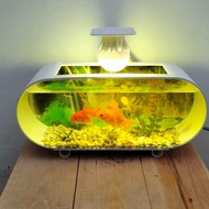 AQUARIUM MINI FULLSET MURAH DAN BAGUS LENGKAP BUNGA HIAS BATU WARNA LAMPU LED DAN MESIN POMPA AERATO