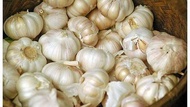 BAWANG PUTIH  1kg