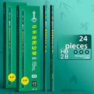 Sketching Tools Set for Art Students - Pencils and Charcoal Pencils (8b 10b 12b HB 2b 3b 4b 6b)