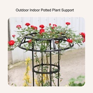 Climbing Plant Support Rust Proof Decorative Umbrella Shape Potted Plant Stake Support For Rose Toma