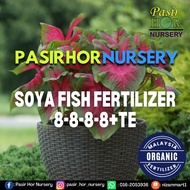 ORIGINAL SOYA FISH FERTILIZER | BAJA ORGANIK | BAJA KELADI | BAJA DURIAN 2 kilogram