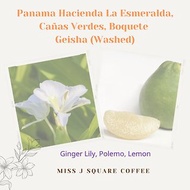 Panama Hacienda La Esmeralda Geisha (Green Lab) Washed
