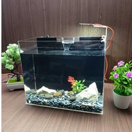 Custom Aquarium Size 40x 20 x 25 Cm Jumbo Acrylic Material 3 mm with Filter