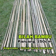 Bambu Bilah 150Cm/Ajir Tanaman/Bambu Ajir Tanaman