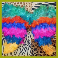 ♝ ╱ ⇨ IBONG ADARNA WINGS KID SIZE