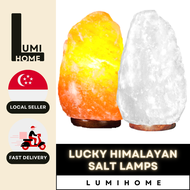 [LUMIHOME] Himalayan Salt Lamp White Salt Pink Salt Lamp Fengshui Lamp Money Lamp Lucky Lamp