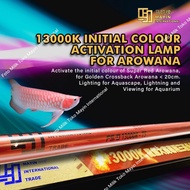 LAMPU TANNING CELUP SUBMERSIBLE T5 MAYIN 13000 K AQUARIUM IKAN ARWANA