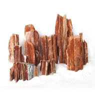 Red Wood Stone for Aquascape Aquarium