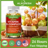 Vitamin B Complex - for Nervous System, Reduces Fatigue, Cardiovascular Health with B1 B2 B3 B5 B6 B