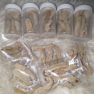 Ibu Gamat Asli Kering Langkawi 25gm 35gm