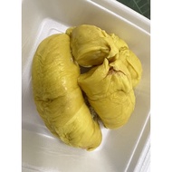 Premium Musang King Durian猫山王 from Pahang, Golden Phoenix 金凤, D13, D101 (420-430g)