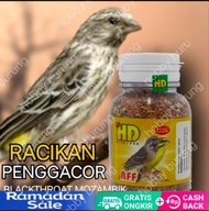 hd RFF MFF pakan burung Mozambik blackthoat sanger red siskin frinch bagus sehat bikin gacor rajin b