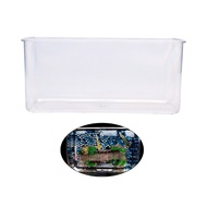 DLAY Transparent Fish Tanks Axolotl Bowl for Desktops Clear Aquatic Display