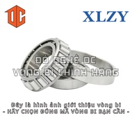 XLZY Bearing 32906 30309 32013 32208 31305 30303 33008 32904 32011 32014 30211 30305 32307 32213 329