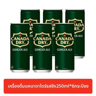 Coca-Cola | น้ำอัดลมรสขิง 250 มล