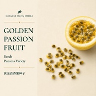 Panama Golden Passion Fruit Seeds | 20 Seeds | 黄金百香果种子 | Benih Markisa Emas
